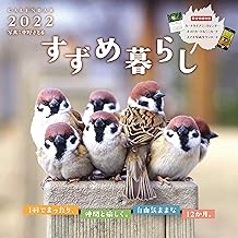 Amazon Co Jp ポイント対象商品 カレンダー 手帳 カレンダー 文房具 オフィス用品 Amazon Co Jp ポイント対象商品 カレンダー 手帳 カレンダー 文房具 オフィス用品