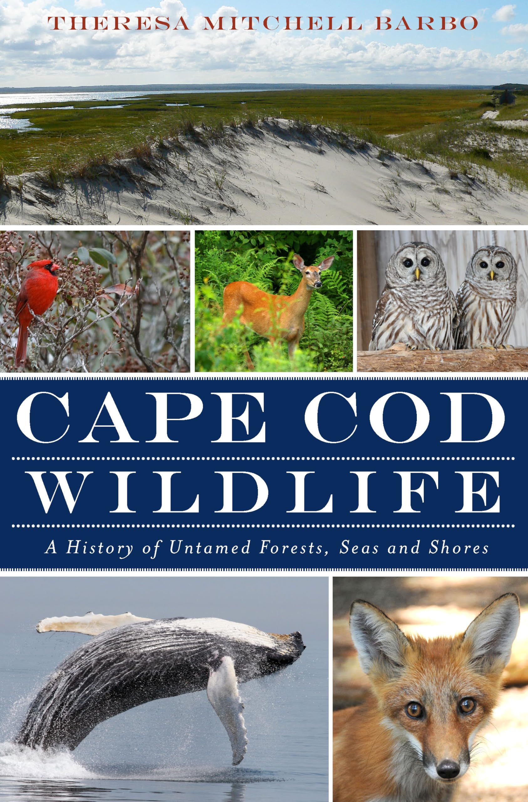Buy Cape Cod Wildlife: A History of Untamed Forests, Seas and Shores — BookShops.in