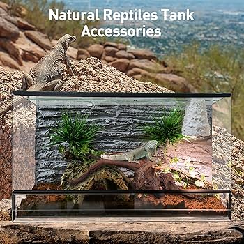 MRW-6266 特大天然流木　自立流木　1点物　枝流木　アクアリウム 爬虫類 MRW-6266 特大天然流木 自立流木 1点物 枝流木 アクアリウム 爬虫類