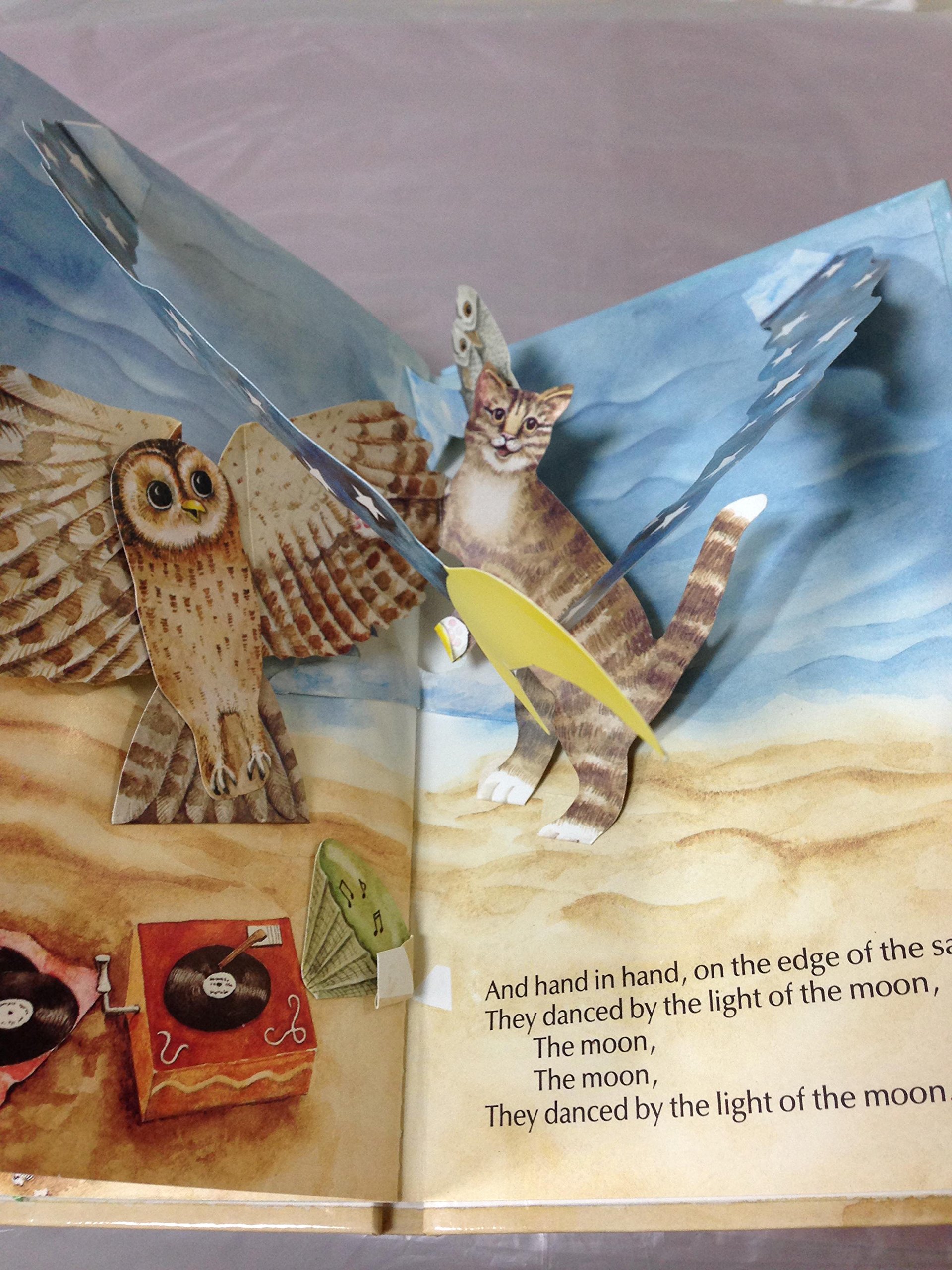 Pop-up Book (A Poetry pop-up book)