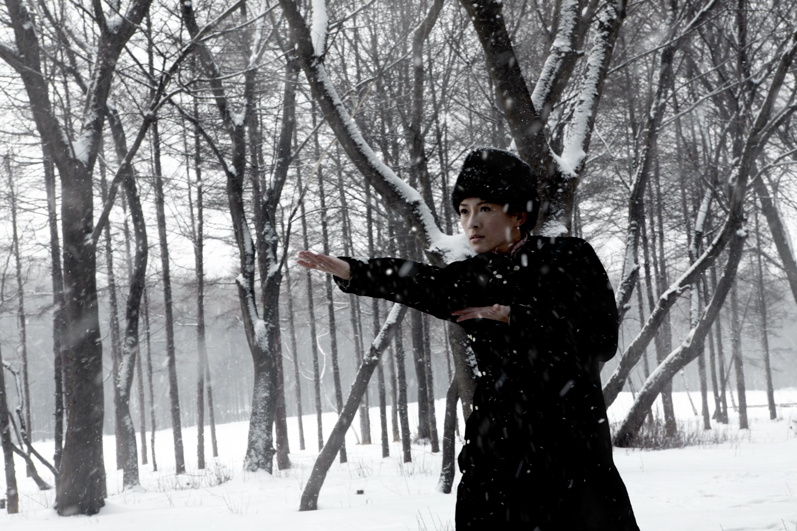 The Grandmaster - Édition collector limitée 2 Blu-Ray