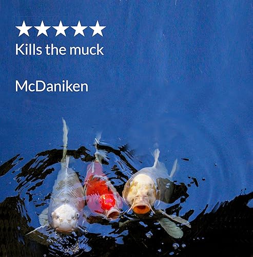 Vista 6 de API POND ECOFIX - Limpiador de estanques y removedor de lodos con bacterias naturales, botella de 64 onzas, color blanco