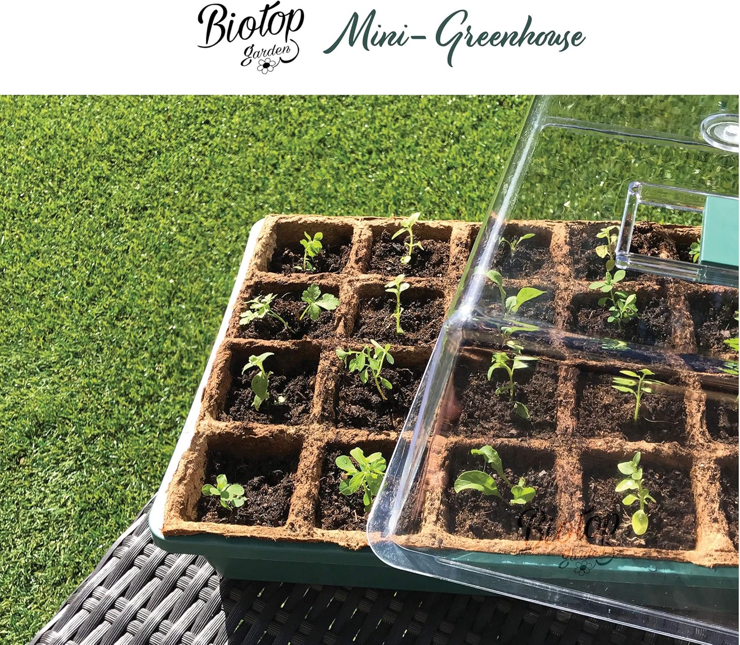 Biotop B2015B - Seed Germinator, Green, 38 x 24 x 18 cm