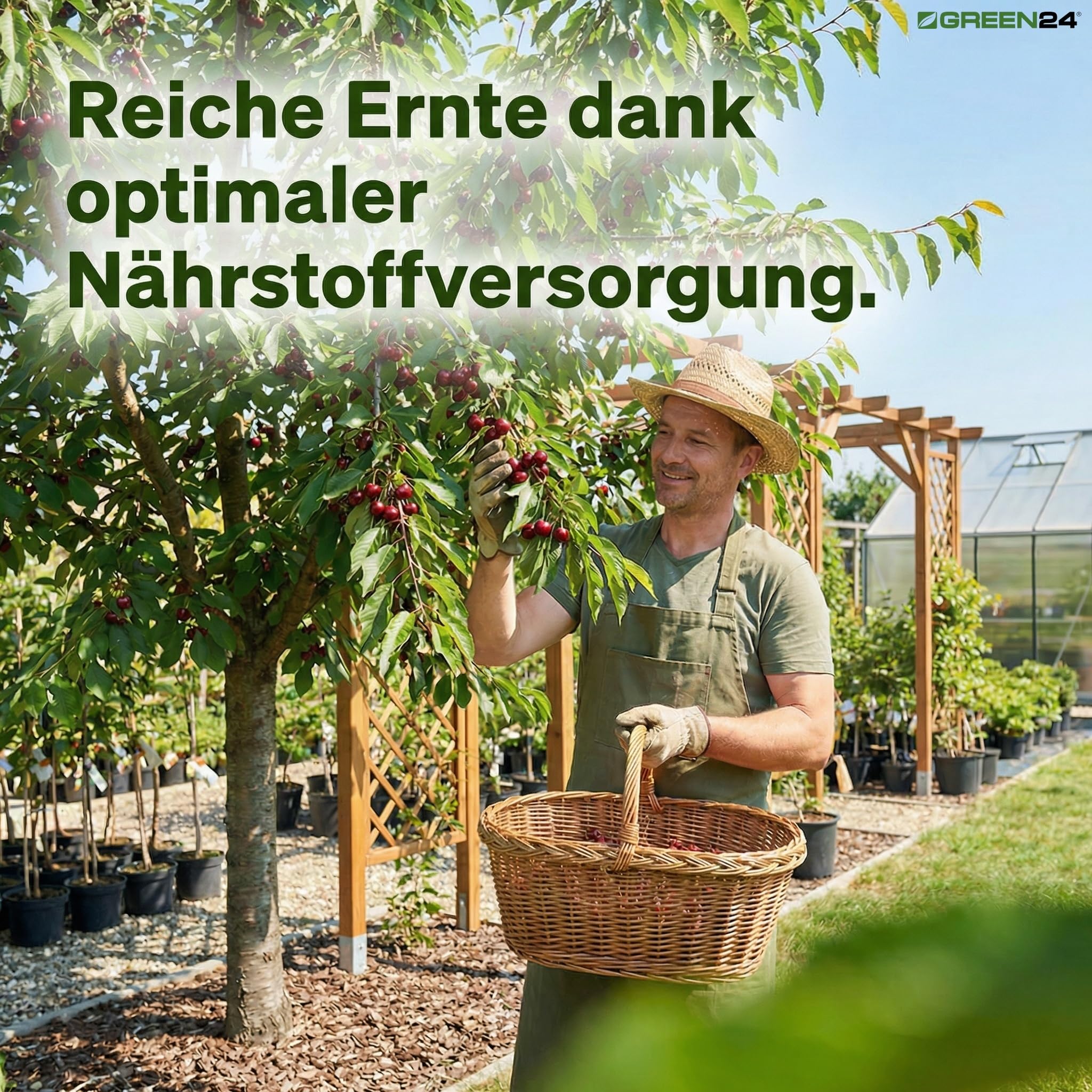 Obstbaum Beerenstrauch Dünger XL 1 l Zum düngen von Obst und Beeren NPK Volldünger