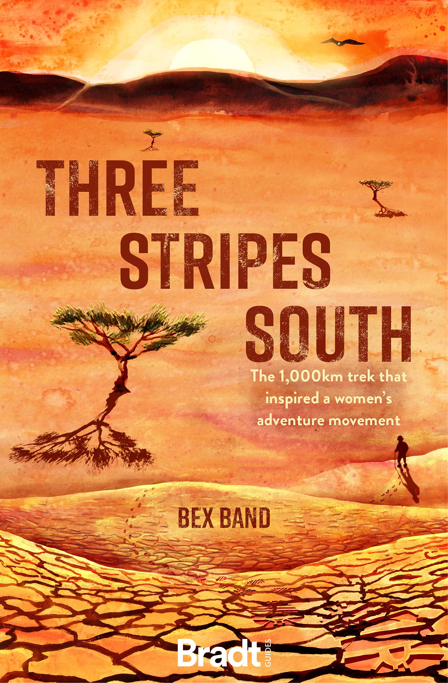 Three Stripes South: A 1000km thru-hike along the Israel National Trail (Bradt Travel Guides (Travel Literature))