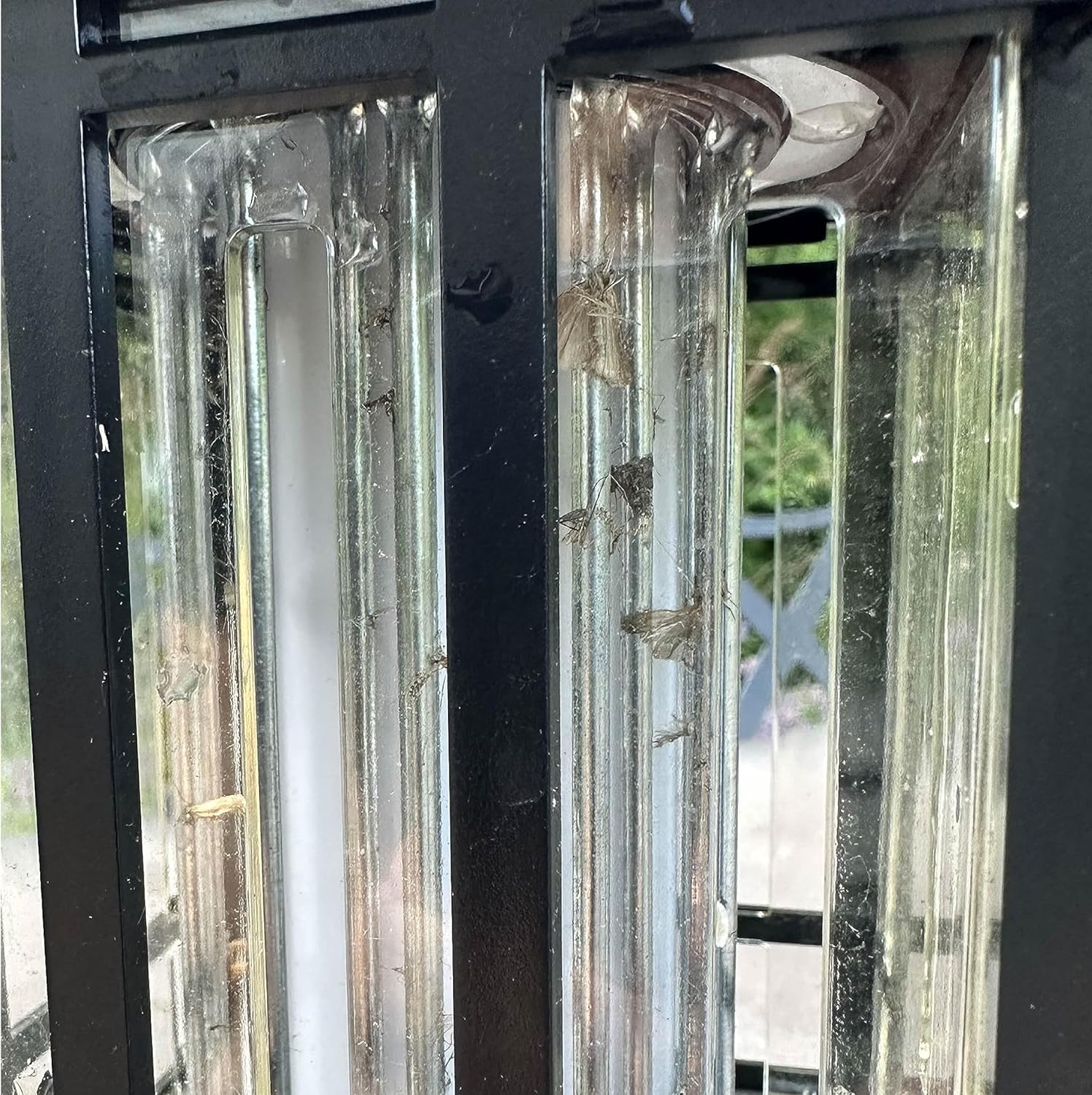 Close-up image of the internal zapping grid with several dead insects visible, indicating the need for cleaning.