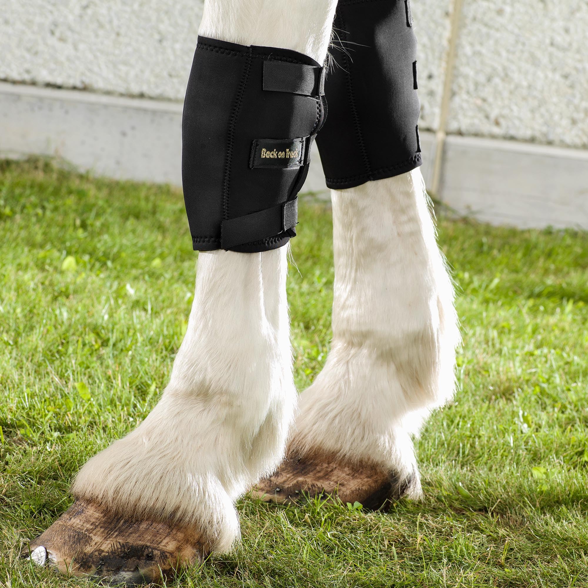 Botte d'Immobilisation AirSelect Elite Taille M - Protection et