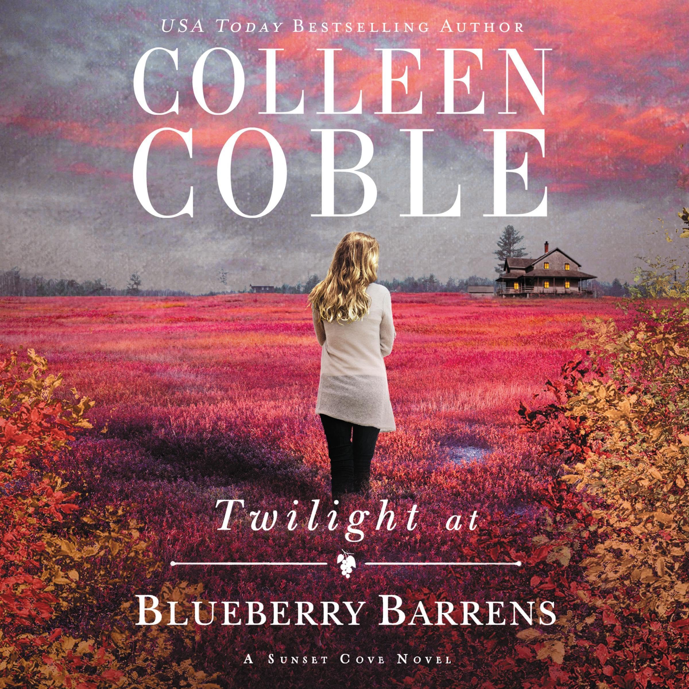 Cover art for Twilight at Blueberry Barrens