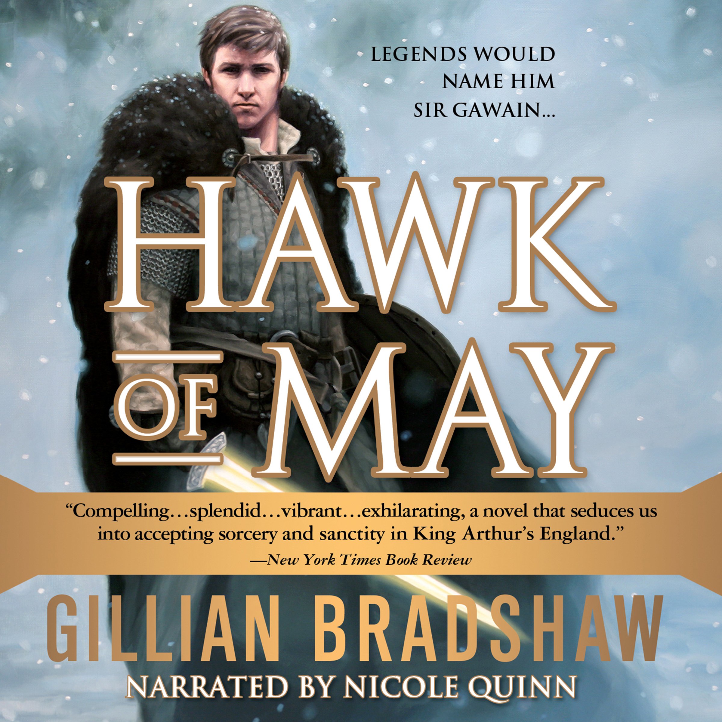 Cover art for Hawk of May