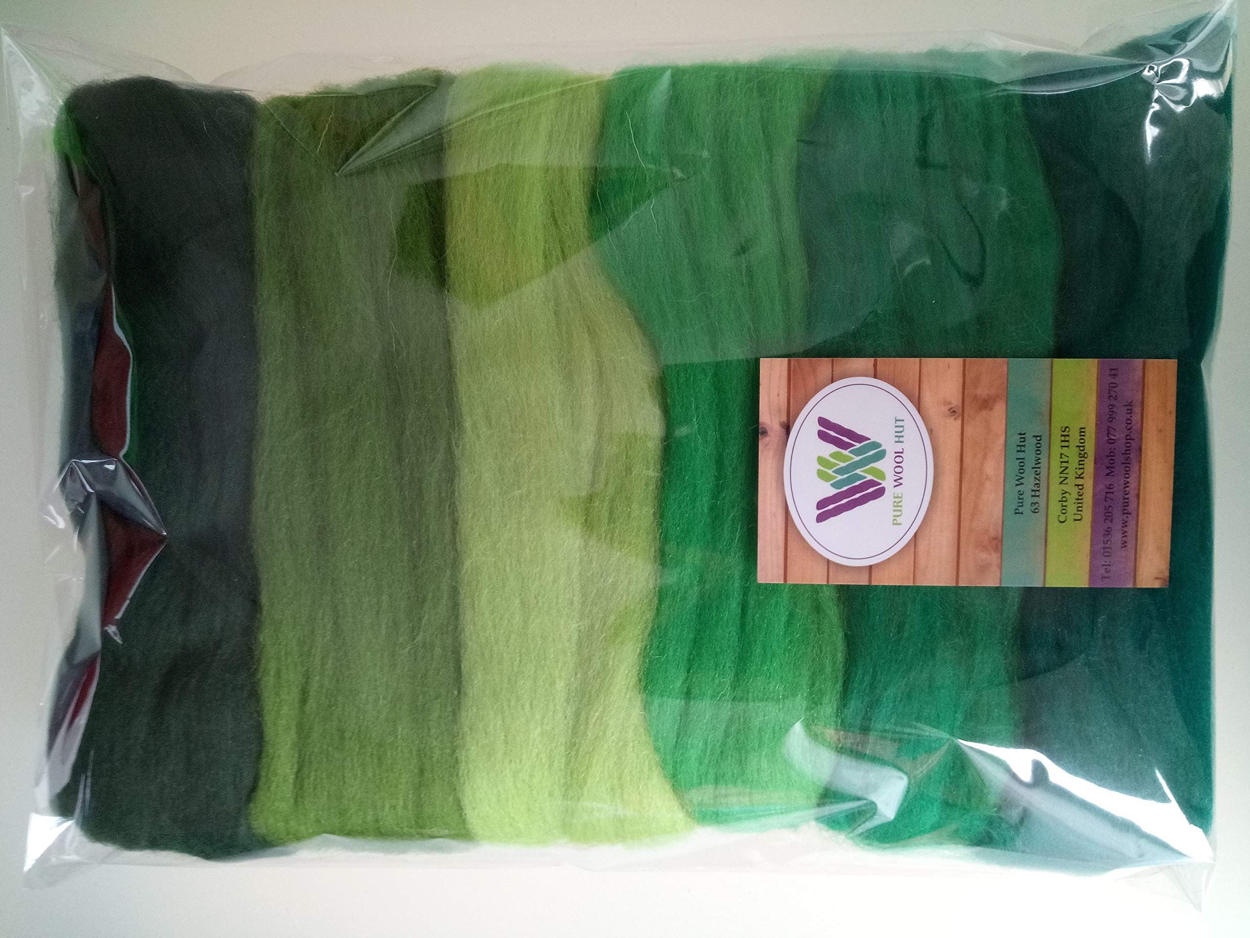 Pure Merino Wool Roving - Assorted Colours for Needle & Wet Felting, Spinning & Weaving, DIY Craft - 60 g Packs (Green 60 g)