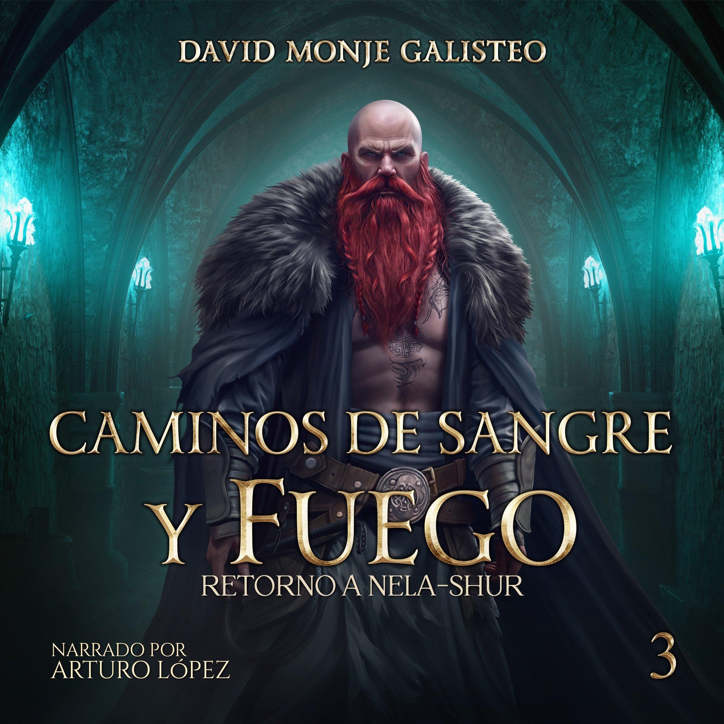 Cover art for Caminos de Sangre y Fuego