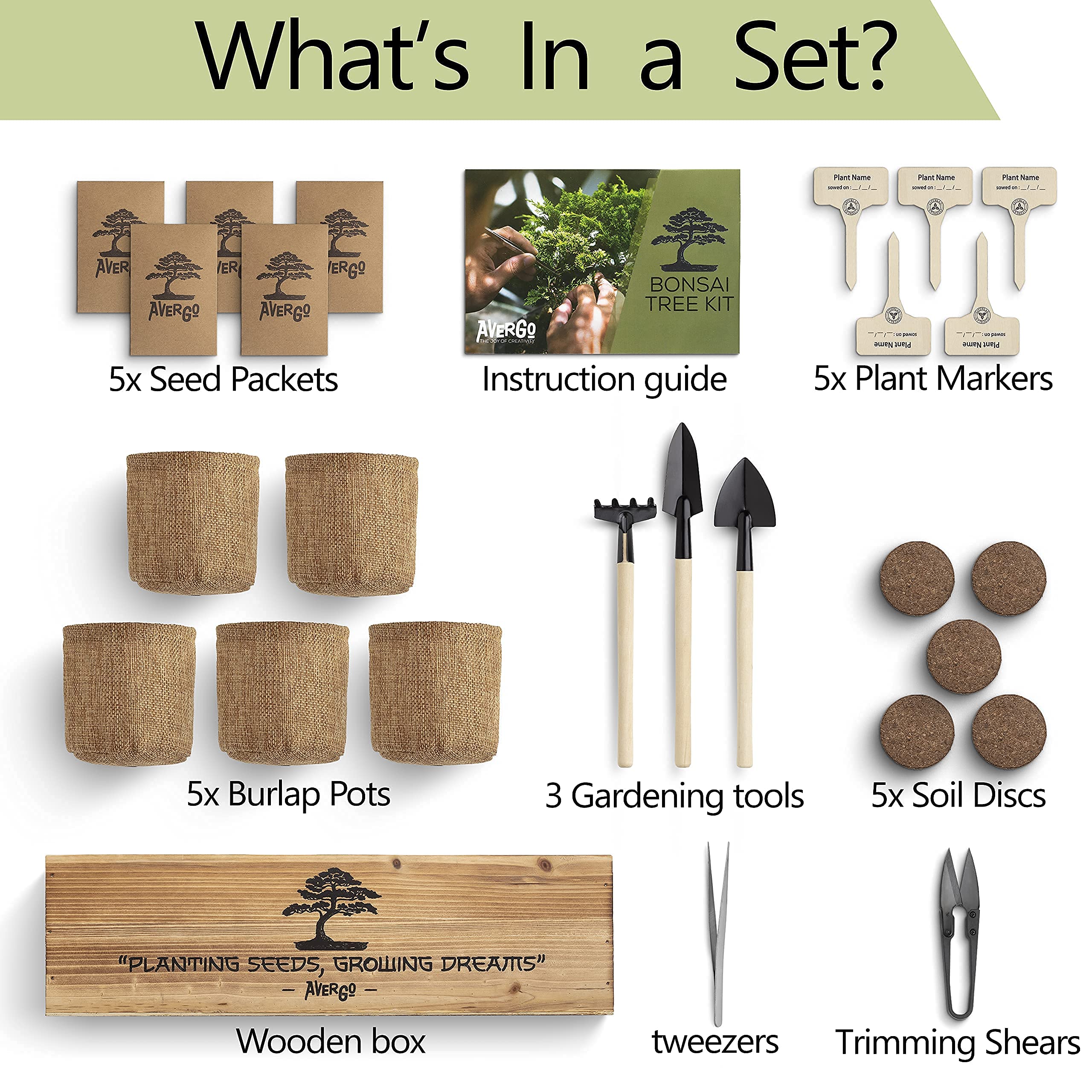 Buy Bonsai Tree Kit x5 Unique Japanese Bonzai Trees Complete Indoor