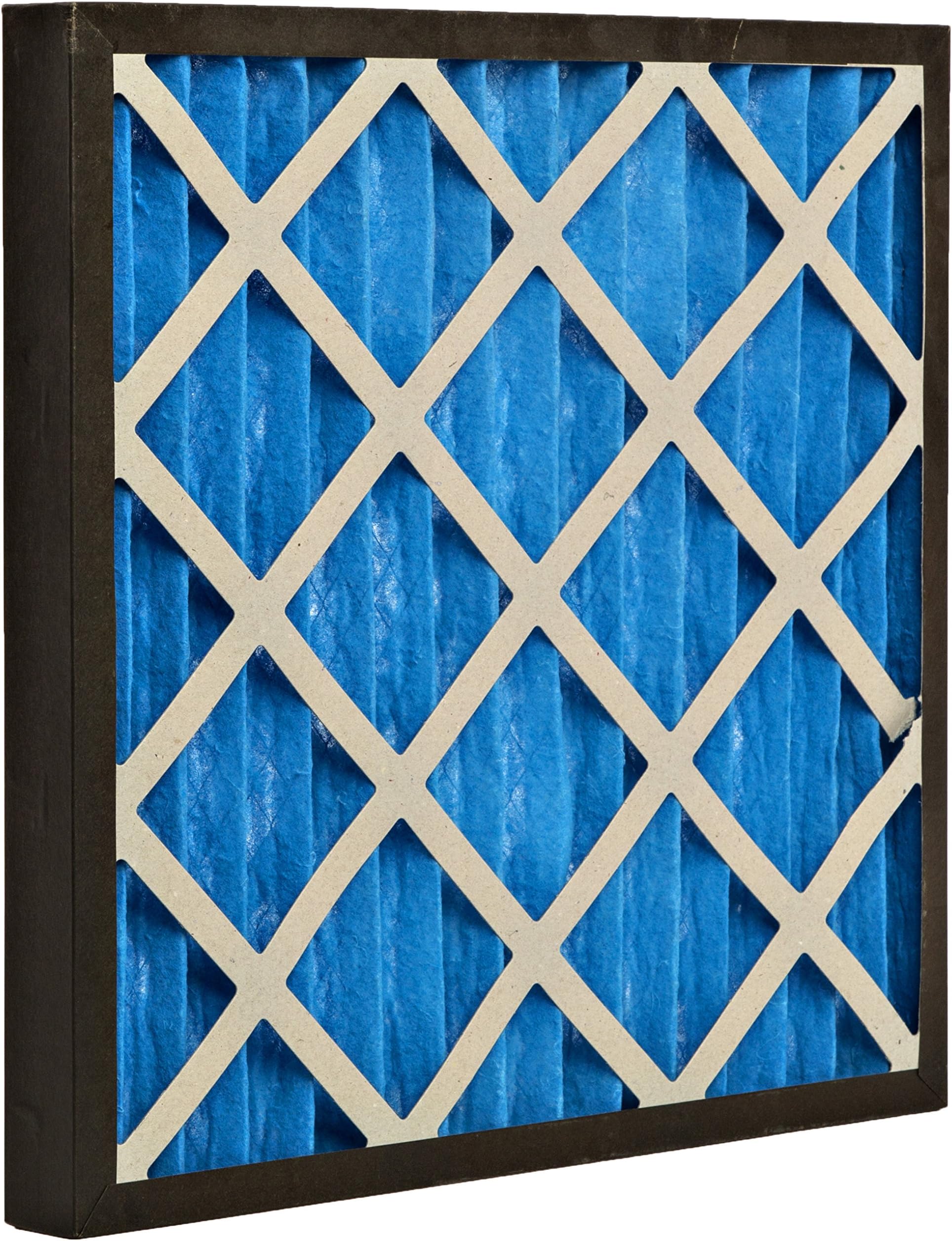 GVS Filter Technology G4P.24.24.4.SUA001.005 G4 Pleated Panel Filter, Blue/White (Pack of 5)