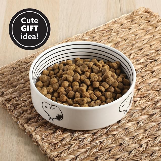 Foto 6 de 6 de Peanuts Snoopy - Cuenco para perros con diseño de hueso, cuenco de agua o comida de cerámica de 6.5 pulgadas…