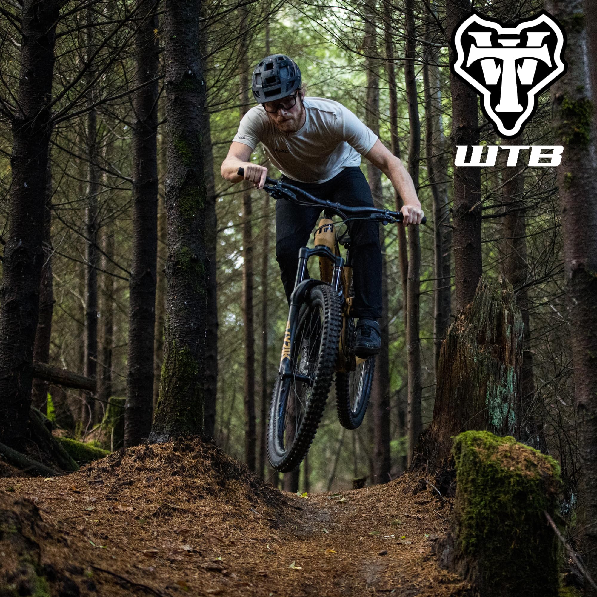 Pneu de vélo WTB Verdict 2.5 TCS Tough/High Grip 60tpi TriTec E25 - Sport