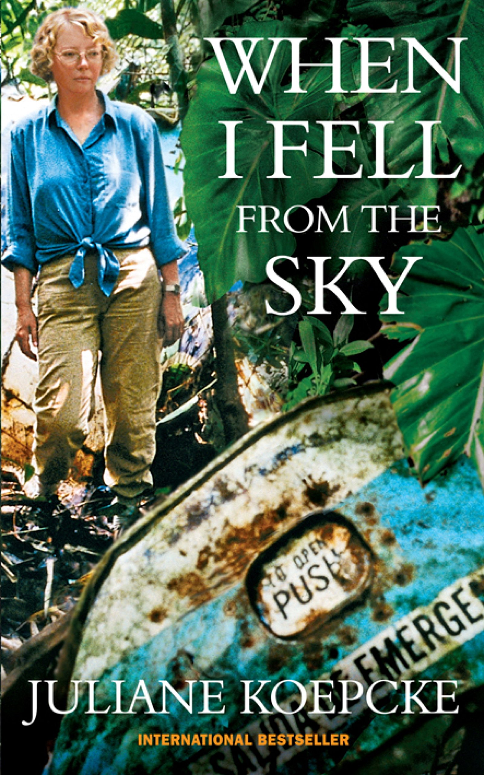 When I Fell From The Sky: The True Story of One Woman's Miraculous Survival