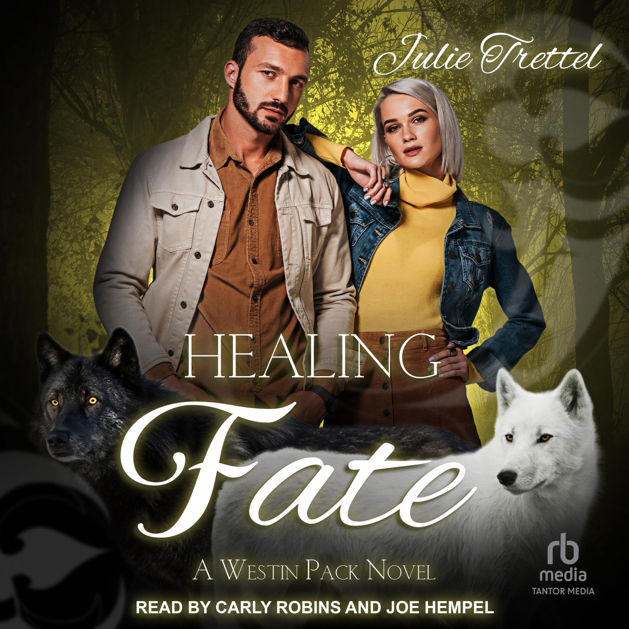 Cover art for Healing Fate