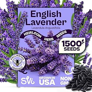 SVI 1500 English Lavender Seeds for Planting (Lavandula angustifolia) ��...