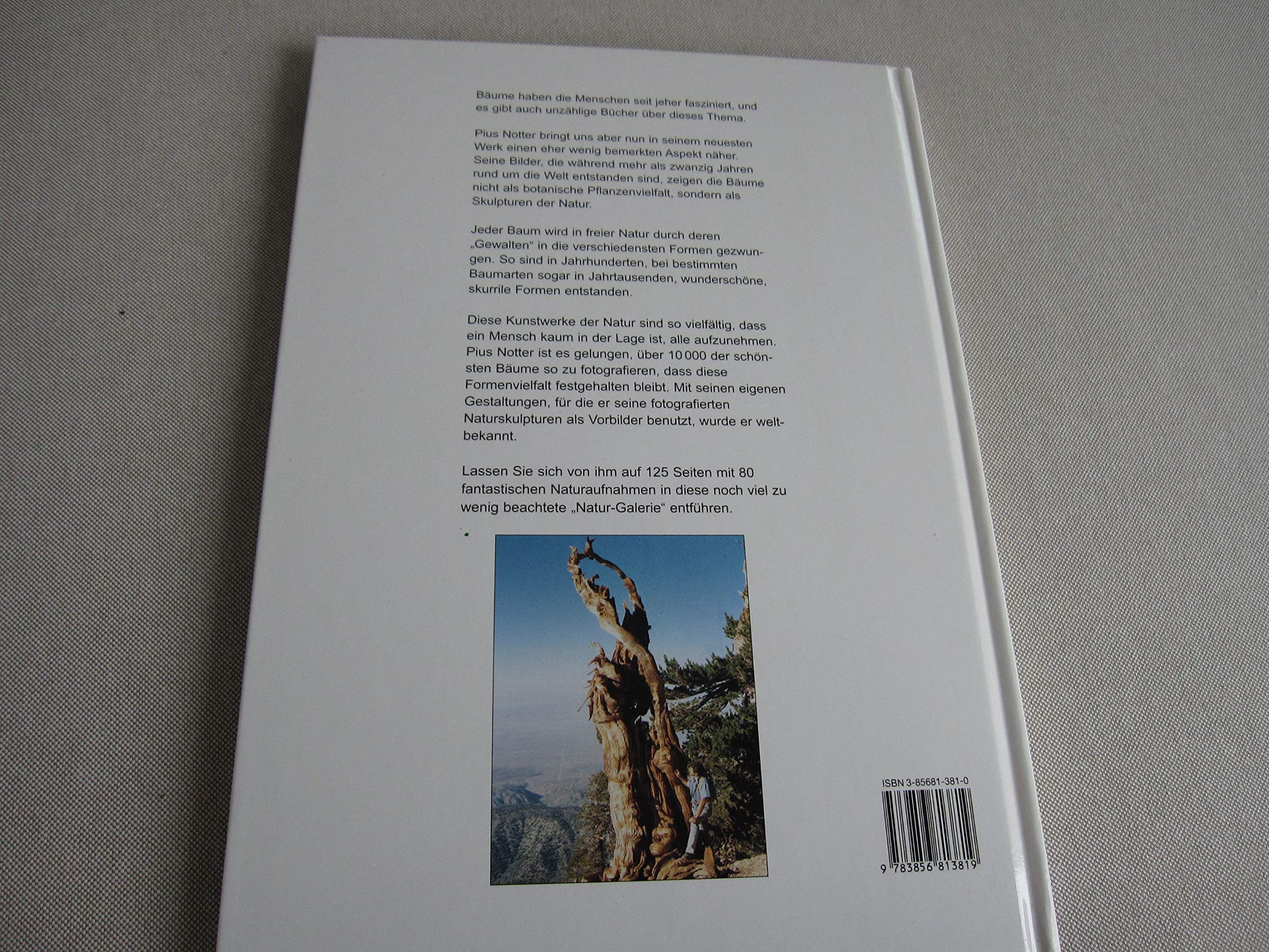 Baumgestalter Natur (Gebundener Fotoband)