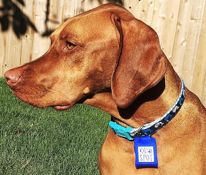 quiet dog collar