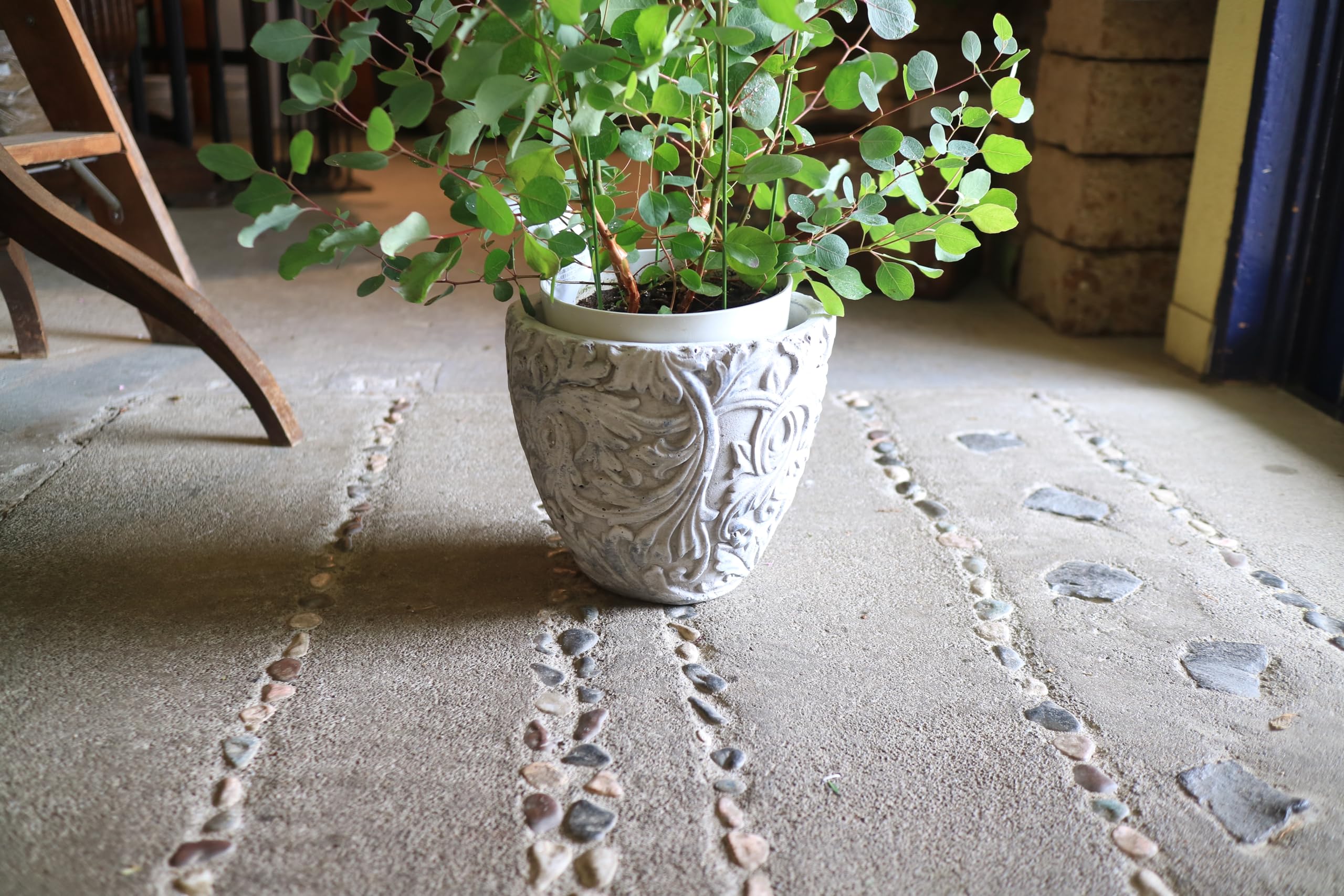 Amazon.co.jp: bee's knees bis ちょっと大きな♡ユーカリ ポポラスの