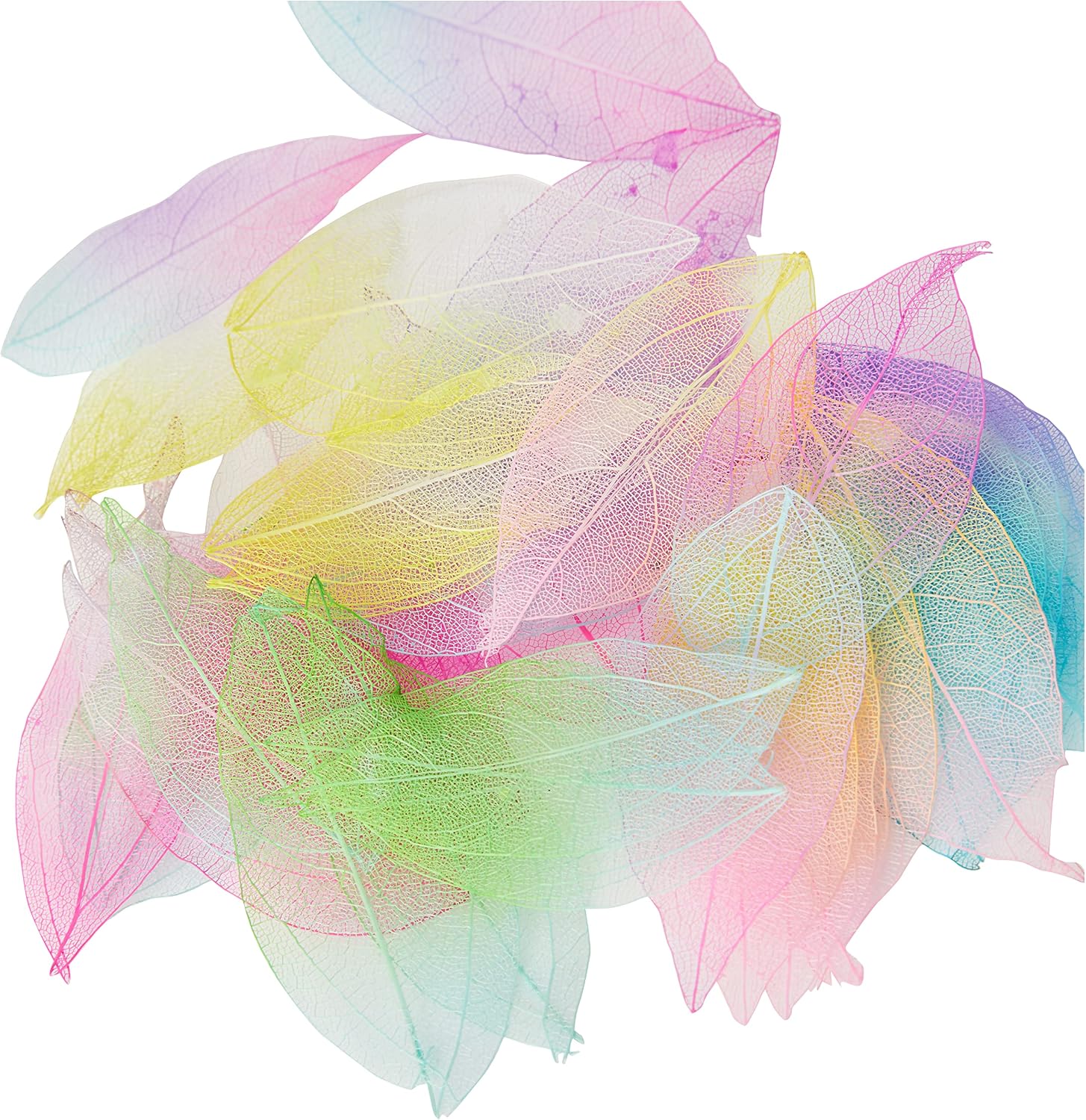 docrafts Skeleton Leaves, Two Tone (Pack of 40)