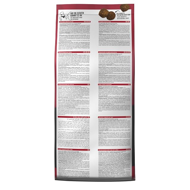 Foto 4 de 5 de BELCANDO Baseline Ranger [1kg] Pienso seco sin Cereales para Perros Adultos