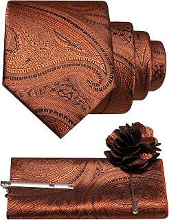 JEMYGINS Barock Paisley Krawatte Set Herren Einstecktuch Krawattenklammer Ansteckblume Elegant für Hochzeit Gala Business Mehrfarbig