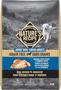 Nature's Recipe Grain Free Natural Dry Dog Food Chicken, Sweet Potato & Pumpkin Recipe 10.8 kg (Pack of 1)