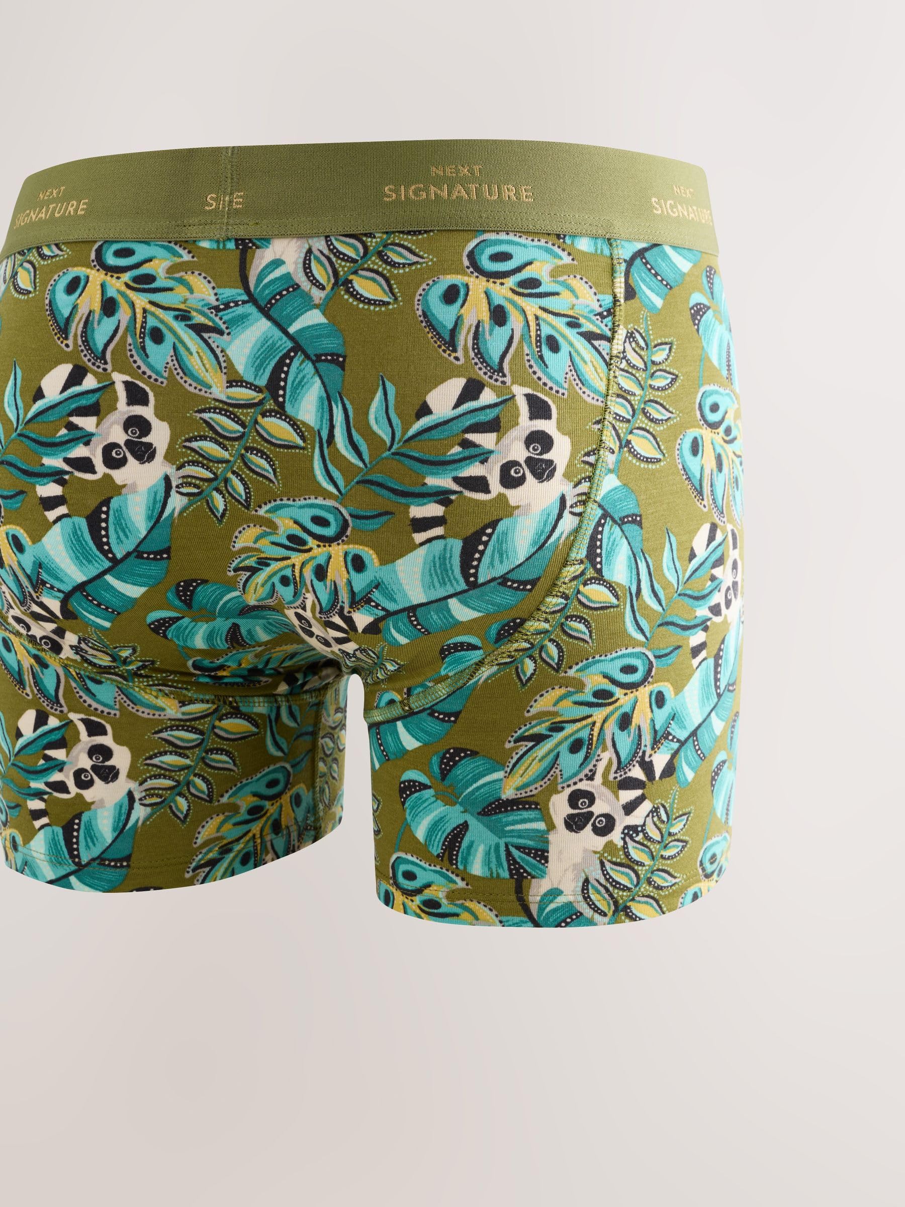 NEXT Hombres Pack de 4 Calzoncillos Signature con Alto Contenido de algodón