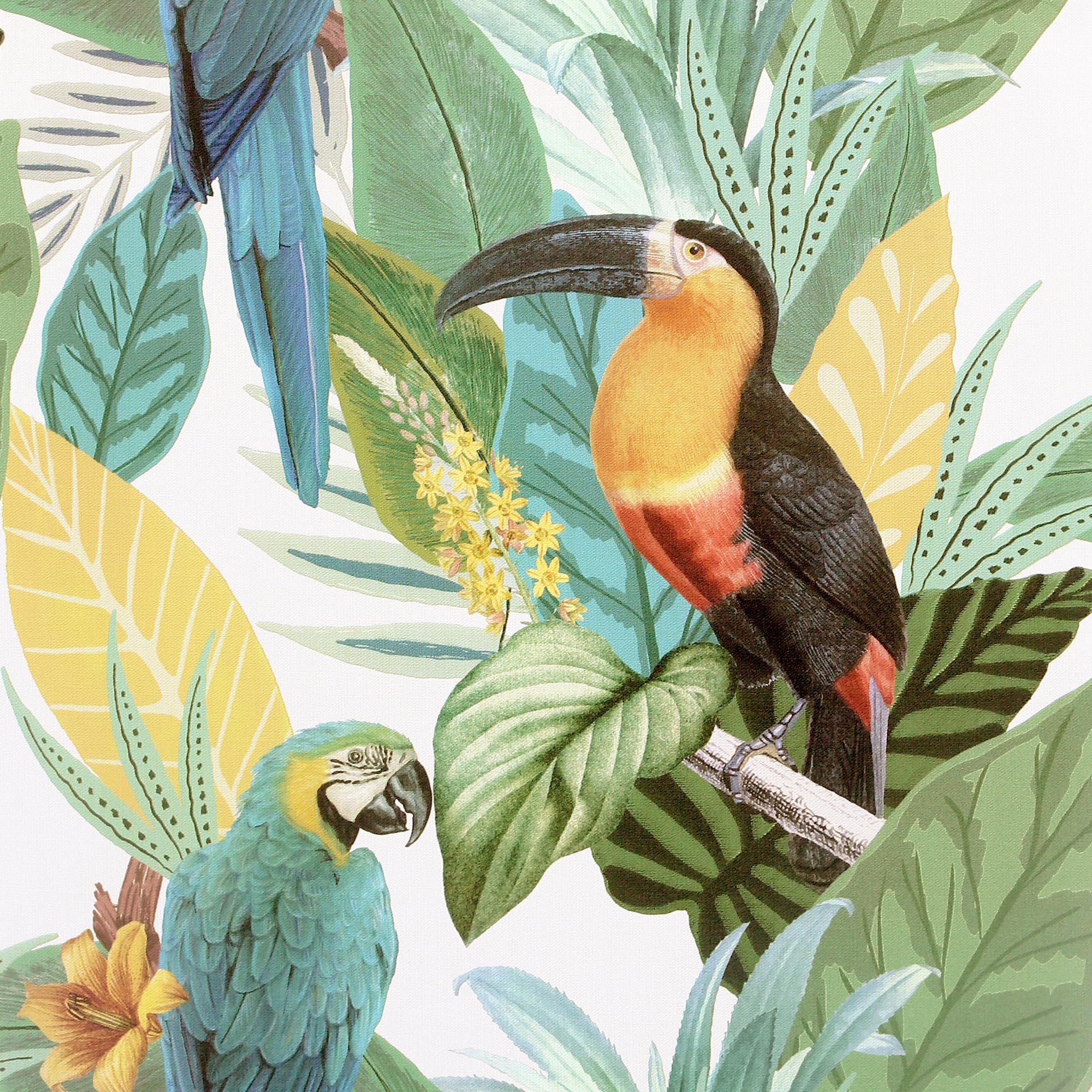 Arthouse Toucan Jungle Wallpaper 1005cm