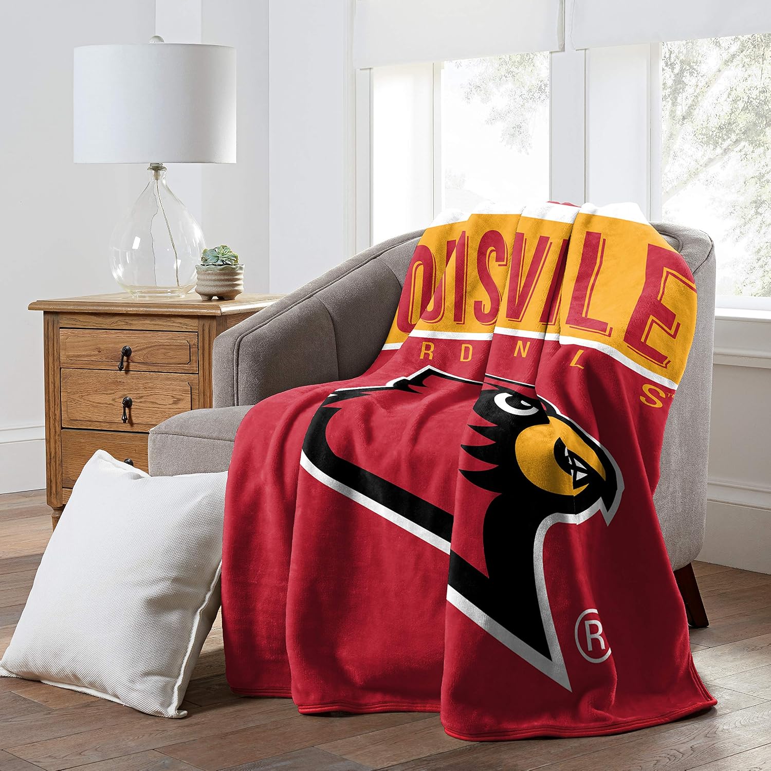 The Northwest Company Team Logo Basic Silk Touch Throw Blanket, Team Colors, One Size