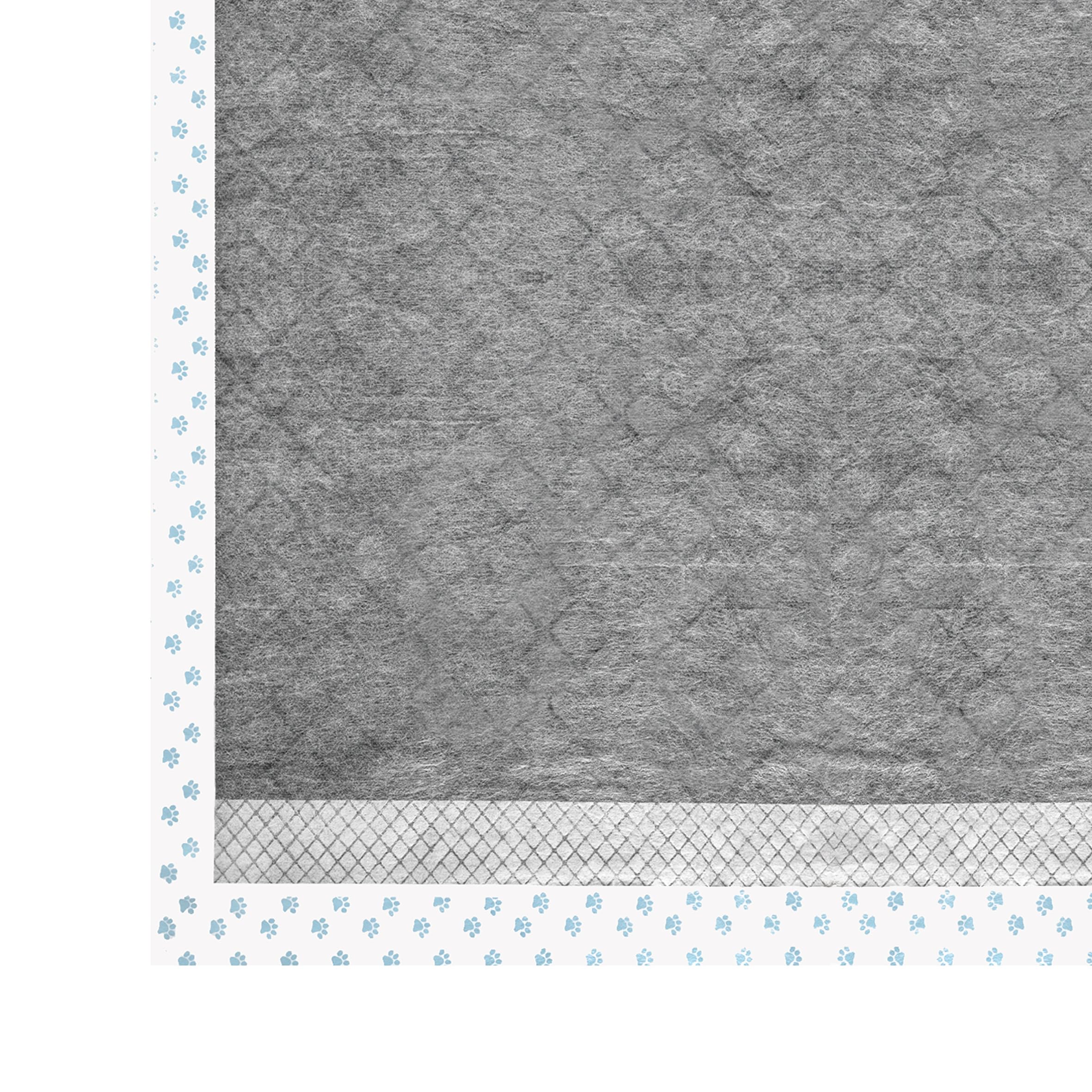 Record Hygienematten Absorbipiù Einweg-Hundeschlafer mit Aktivkohle fur Hunde. Extra Absorbierend. Reißfest und Geruchsdicht | 60x90cm, Packung mit 30 Stuck