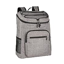 Amazon Basics Zaino termico impermeabile, leggero, isolato, capacità 20 l (30 lattine), Grigio