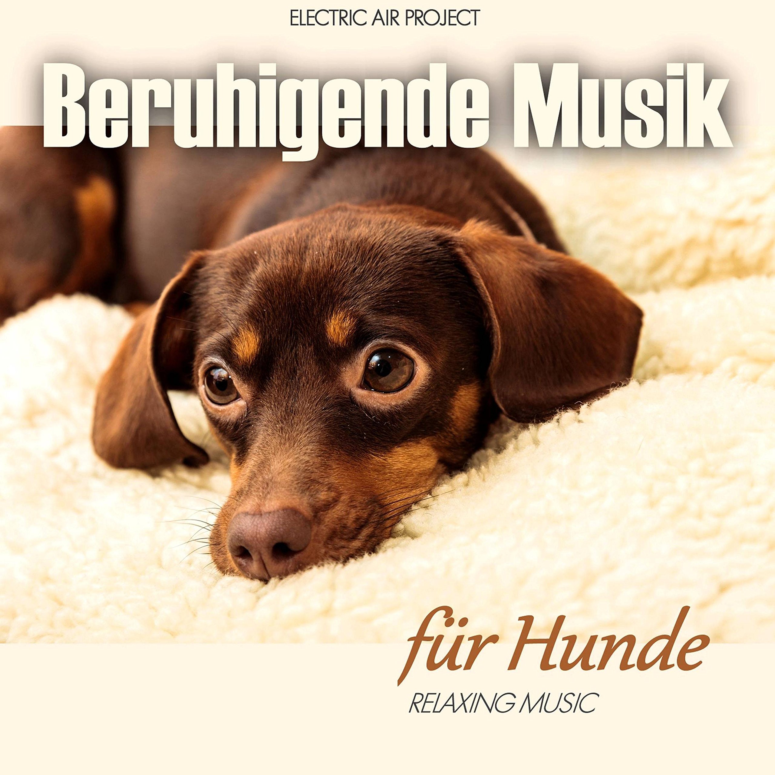 Electric Air Project