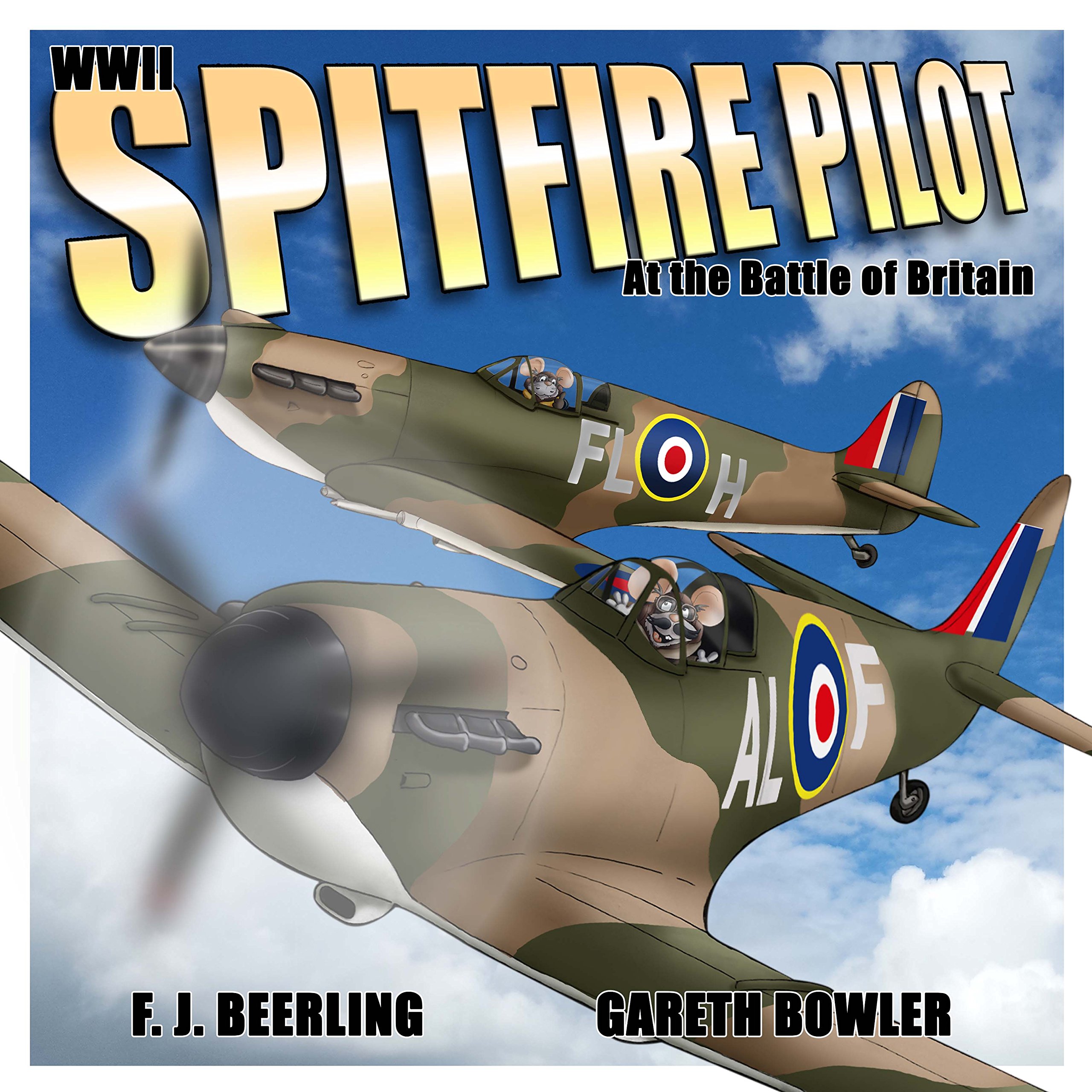 Wwii Spitfire Pilot at the Battle of Britain