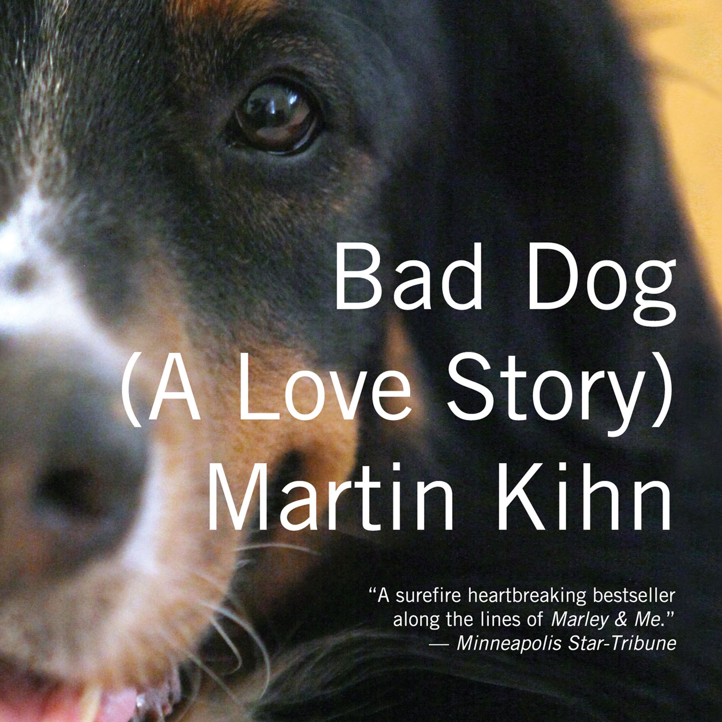 Cover art for Bad Dog