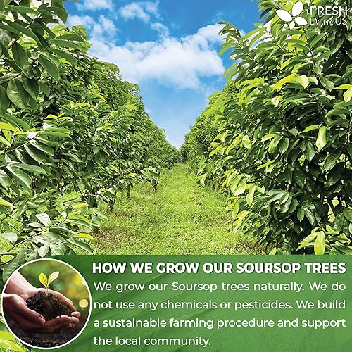 Miniatura 5 de Té de hojas secas de guanábana orgánica, certificado por USDA y sin OMG, 275-300 hojas enteras de guanábana, graviolaguanábana, artesanal, graviola,