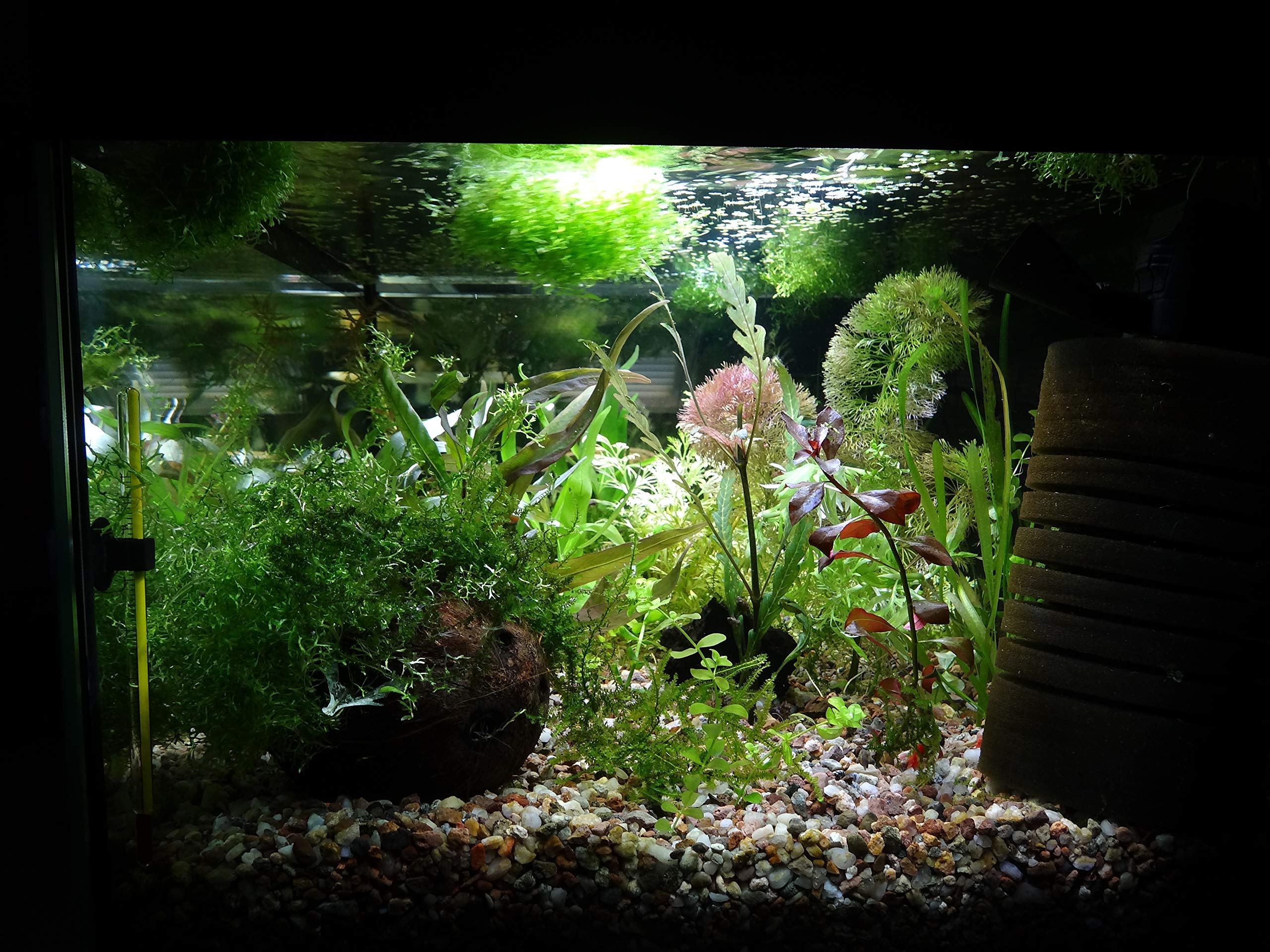 View 6