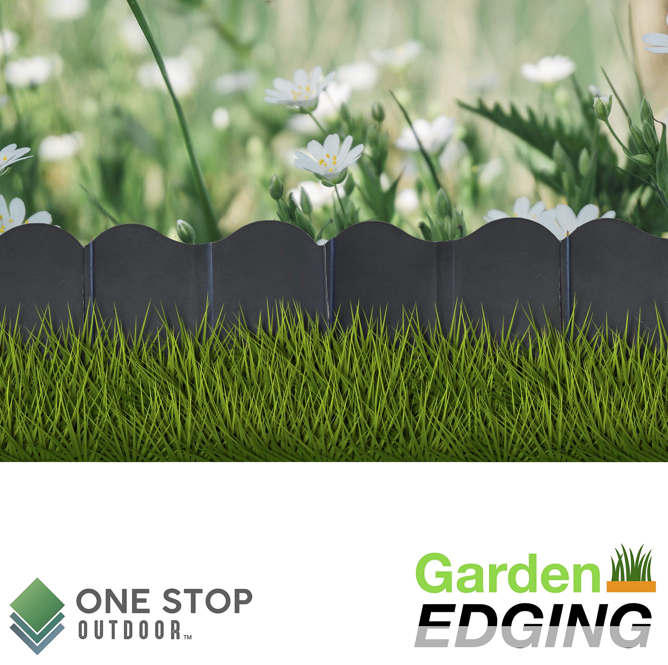 40 英鎊 (99) 사진