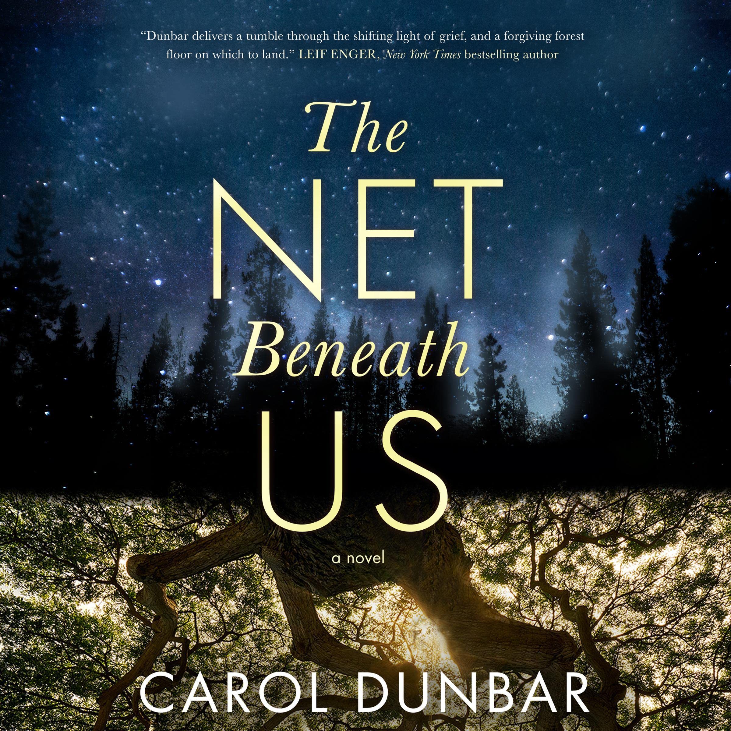 The Net Beneath Us