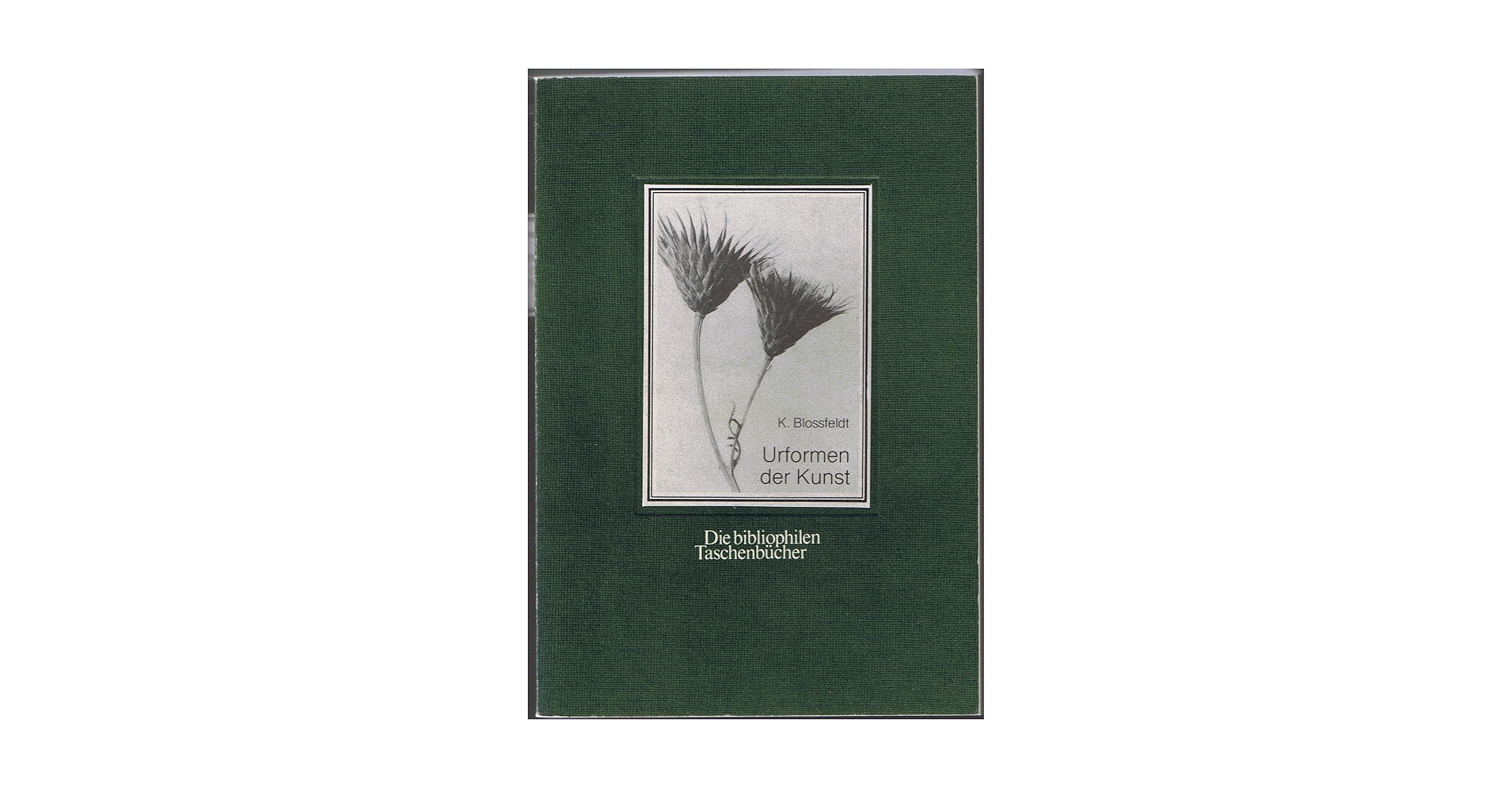 洋書 DasProblem DerForm in Der BildendenKunst Das Problem der Form in der bildenden Kunst : Hildebrand