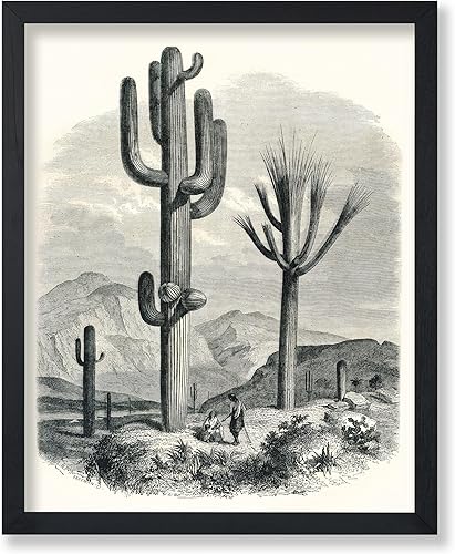 Poster Master Póster vintage de cactus gigante, impresión retro de árboles y flores de California, arte del desierto, arte en blanco y negro, regalo