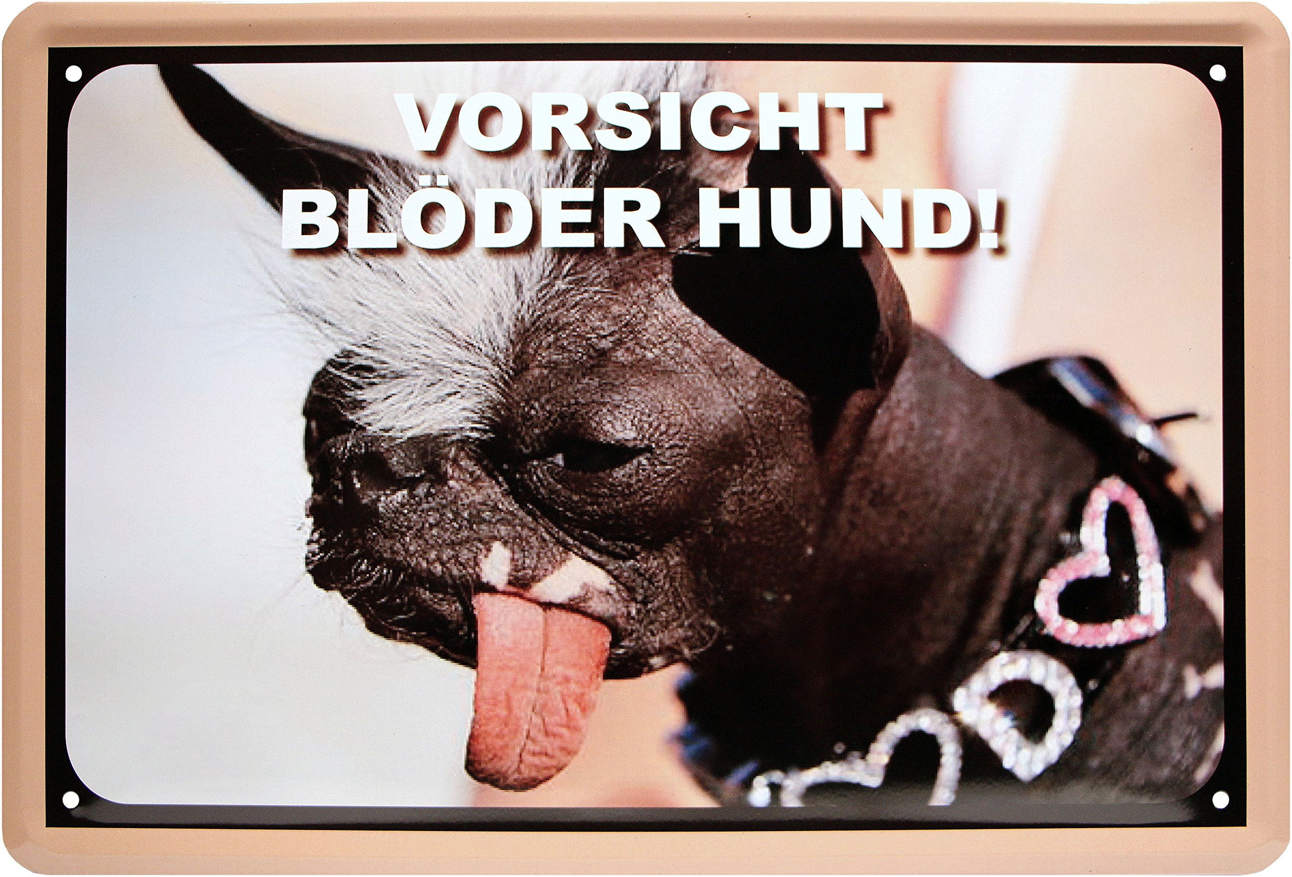 Hond in Roeiboot - metalen bord