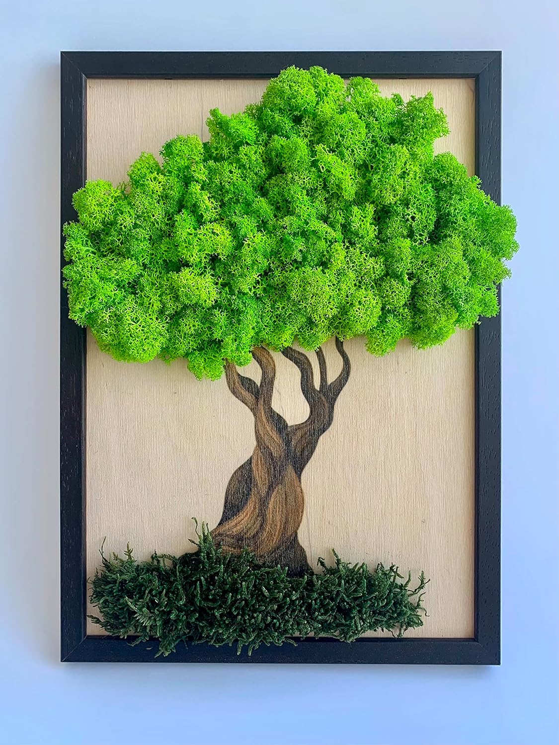 WDSLO Moss Art Bonsai Wall Decor/Natural Wood Preserved