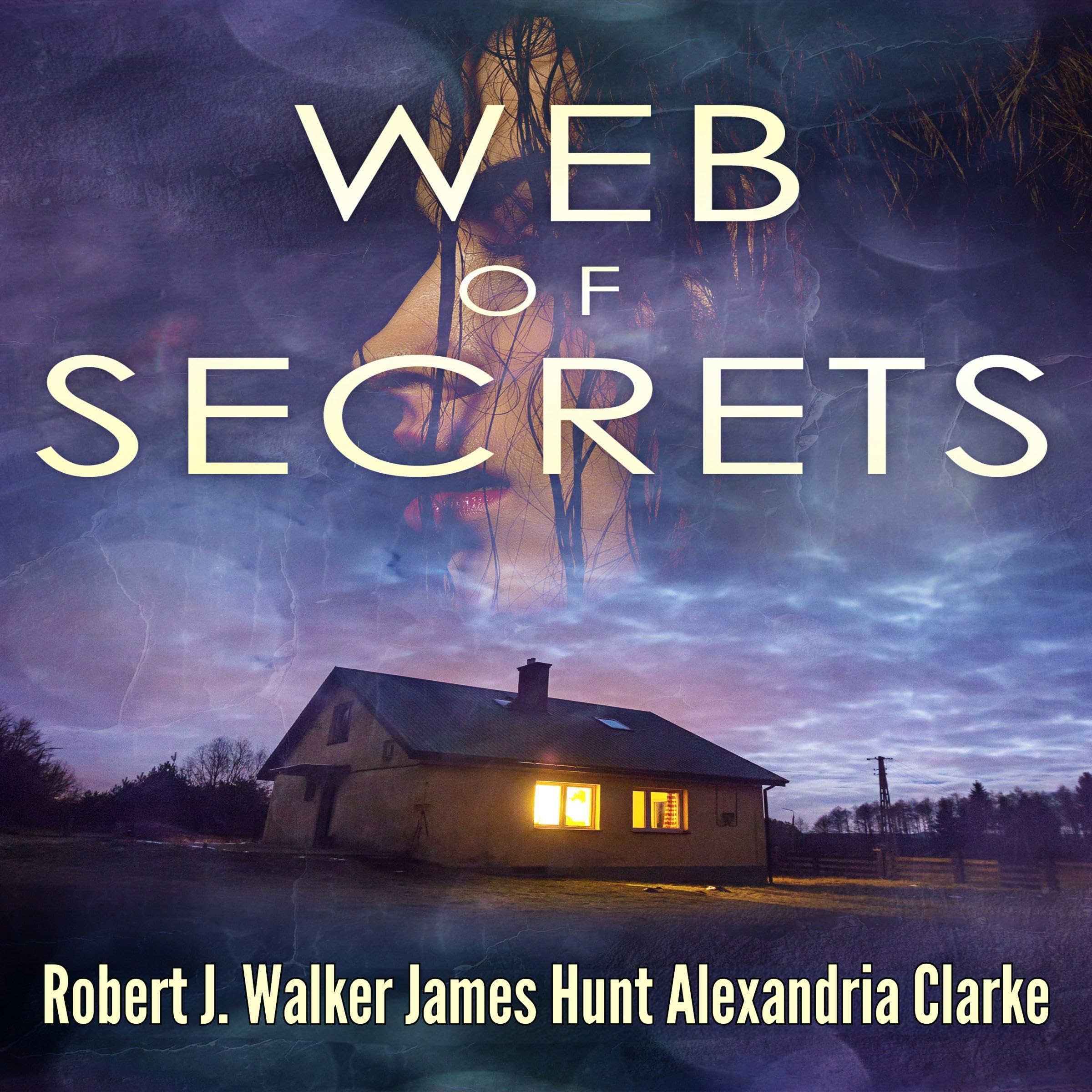 Web of Secrets Boxset