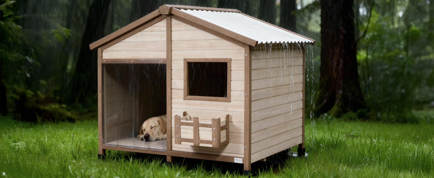 Amazon.com : Petsfit 47