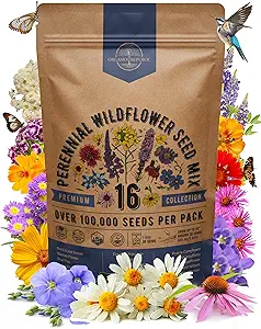 Organo Republic 16 Perennial Wildflower Seeds Mix for Indoor & Outdoors