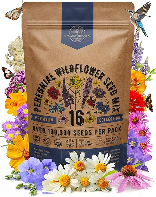 Wildflower seed mix cottage garden