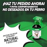 Ver la foto 5